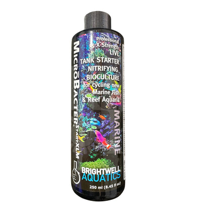 MicroBacter Start XLM - Brightwell Aquatics